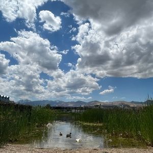 Meet your Posher, Camille